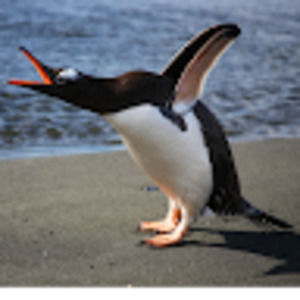 Meet your Posher, Rhianna